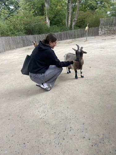 Exkursion Zoo Hannover 5.jpeg Exkursion Zoo Hannover 5.jpeg © KGS Stuhr-Brinkum