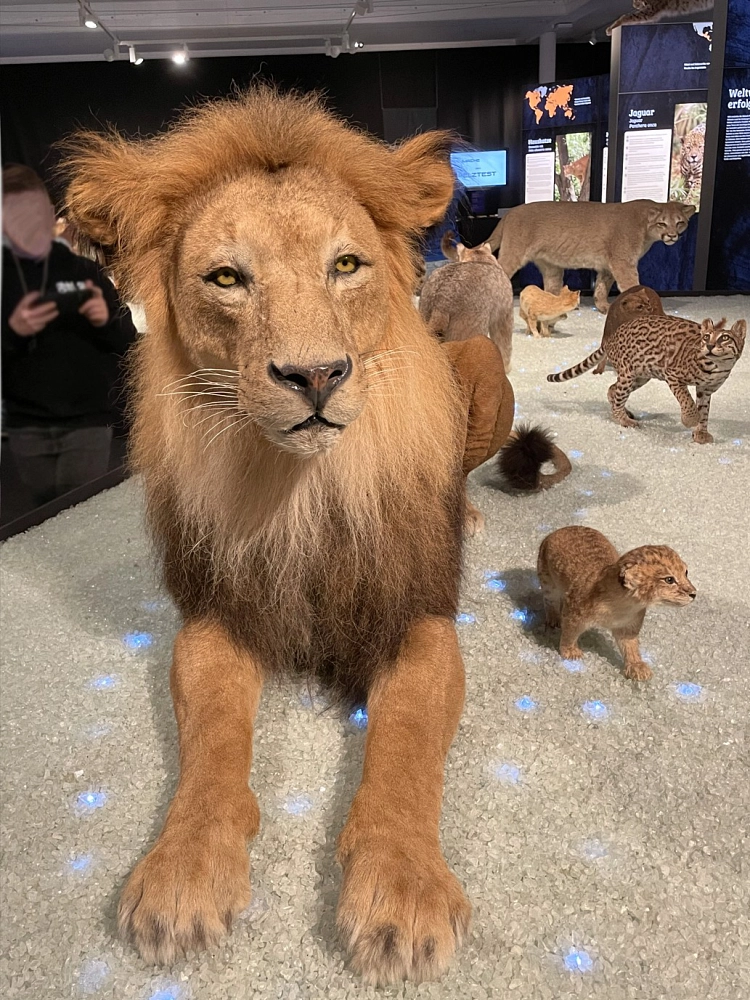 Landesmuseum2025_2.jpeg