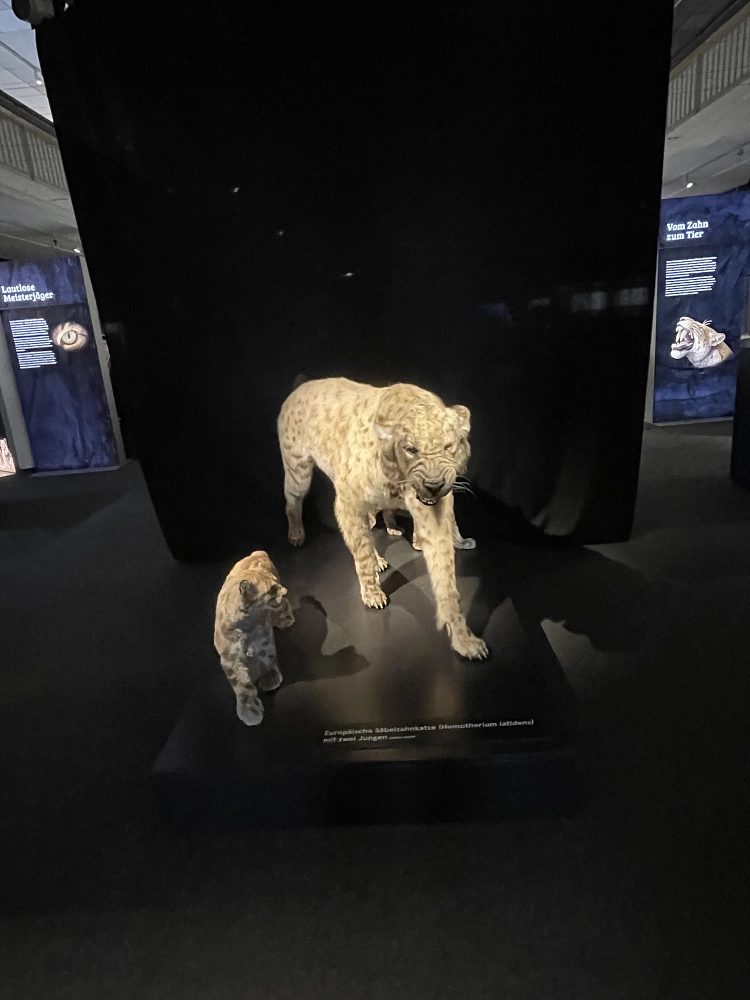 Landesmuseum2025_3.jpeg