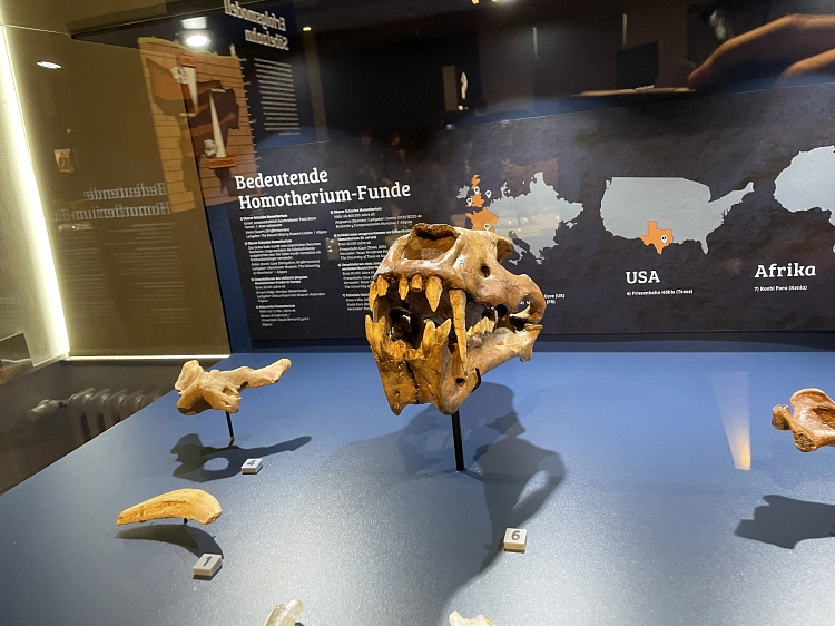 Landesmuseum2025_4.jpeg